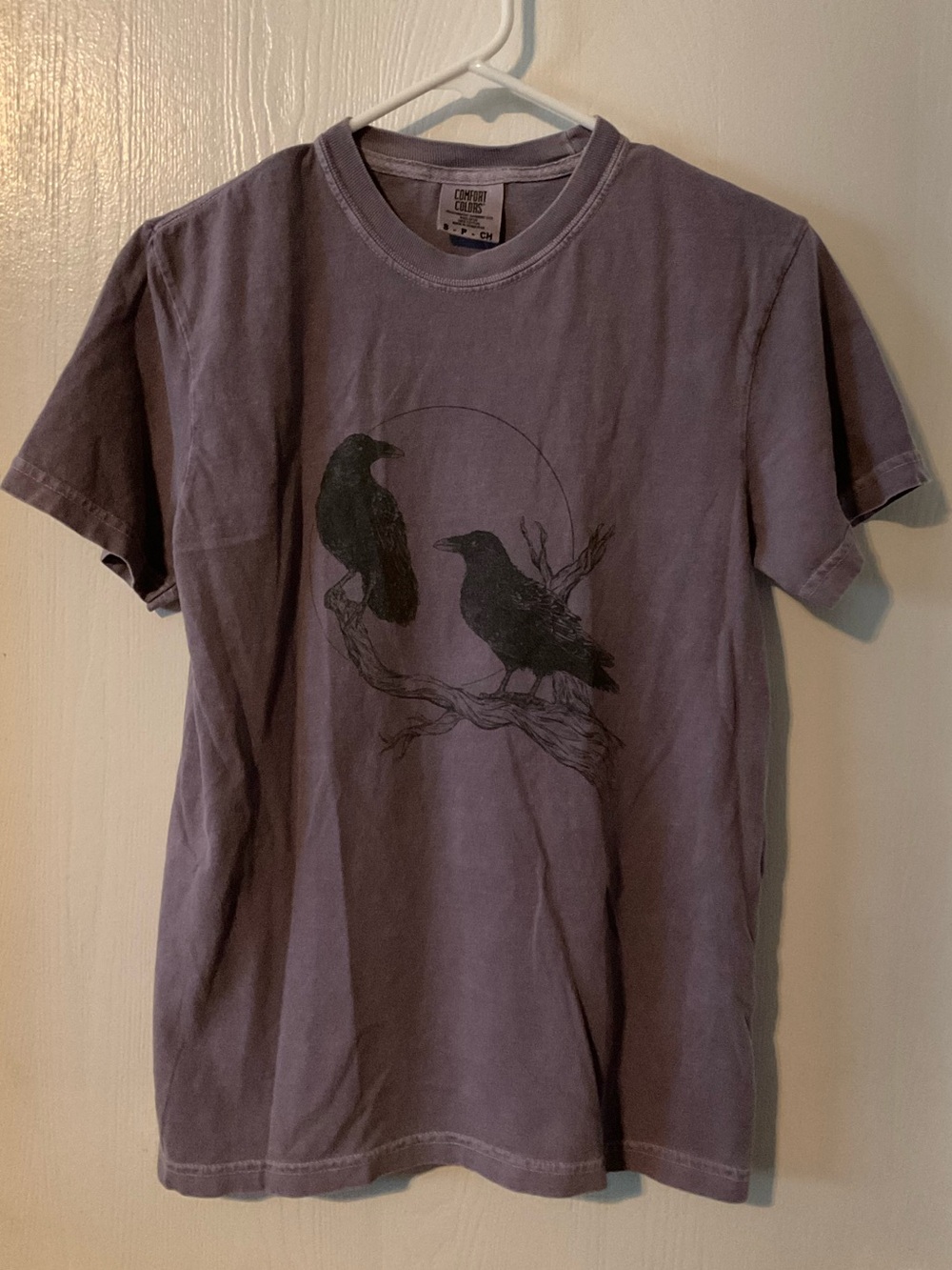 BeCause Midnight Ravens Unisex Comfort Colors Garment-Dyed Heavyweight T-shirt